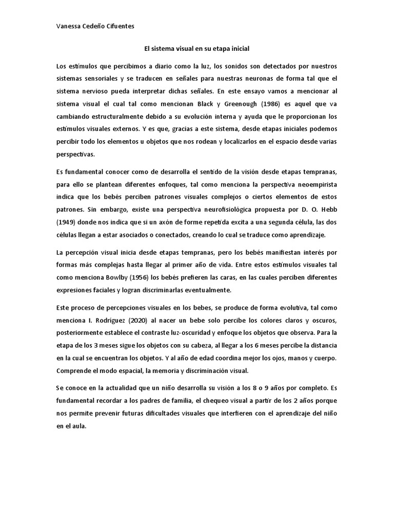 El Sistema Visual En Su Etapa Inicial Pdf Percepción Visual