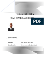 Hoja de Vida Actualizada Juan DAvid