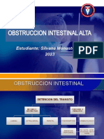Obstrucción Intestinal Alta