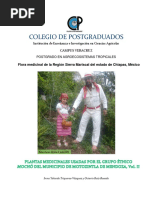 Herbario de Plantas de Oaxaca: Comestibles y Medicinales | PDF