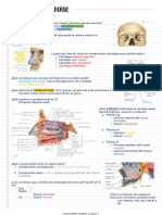 Anatomía de la cavidad nasal y senos paranasales