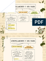 Mapa Conceptual Cuadro Sinóptico Poema Vintage Beige