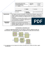 Taller de Nivelación Biología 8° I P 2023