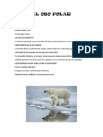 El Oso Polar: Especie