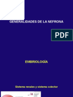 Generalidades de La Nefrona