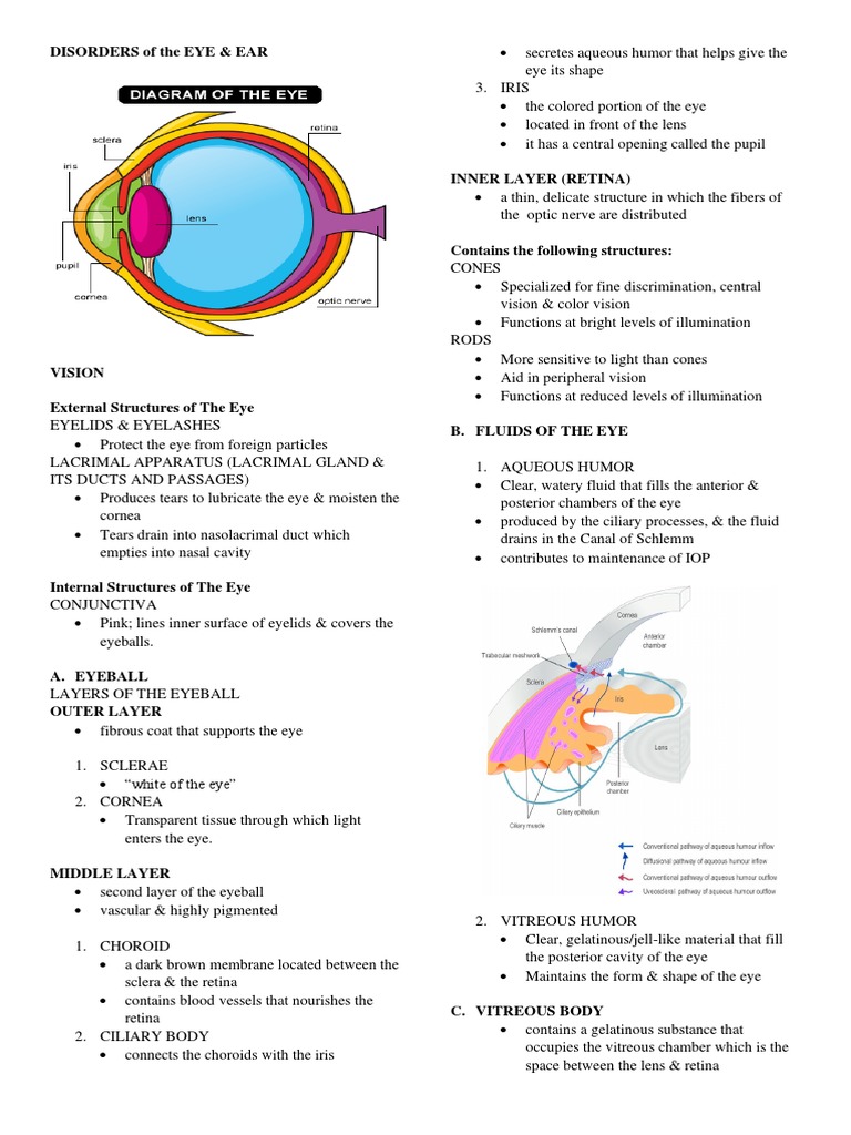 Eye and Ear Disorders Overview | PDF | Ear | Human Eye