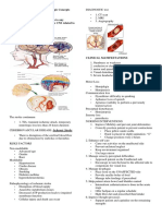 Neurological Concepts