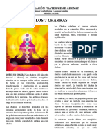 Los Chakras PDF