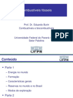 Combustíveis Fósseis: Prof. Dr. Eduardo Burin Combustíveis e Biocombustíveis