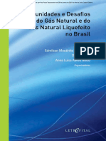 Oportunidades e Desafios Do Gás Natural e Do Gás Natural Liquefeito No Brasil