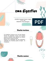 Sistema Digestivo 2.0 Biología