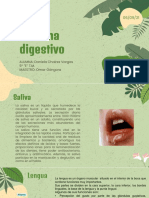 Sistema Digestivo 3.0 Biología