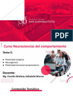 Curso Neurociencias del comportamiento: Plasticidad, Neurogénesis y Compensación