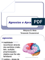 Apraxias e Agnosias