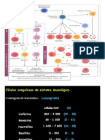 celulas do sistema imunologico