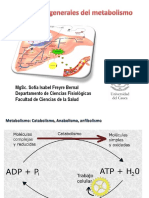 Generalidades-Del-Metabolismo Quimica