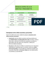 Semejanzas Entre Célula Eucariota y Procariota