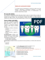 Sistema de Numeracion Dental