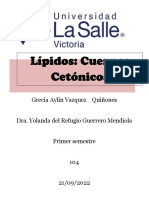 Resumen Lípidos - Cuerpos Cetónicos