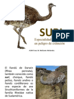 Especialidad: Animales en Peligro de Extinción: AGM Franz N. Muñante Melendez