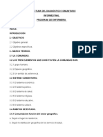 Estructura de Diagnostico Comunitario. Informe Final. Enfermeria.