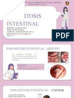 Parasitosis Intestinal: Tema