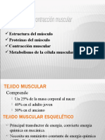 11 Contraccion Muscular