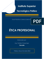 Guía Practica de Ética Profesional