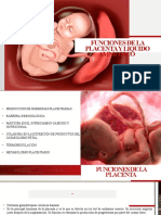 Funciones de La Placenta
