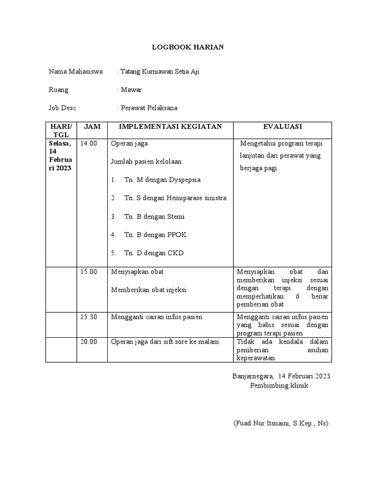 Contoh Log Book Kegiatan Perawat | PDF