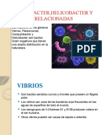 dapositiva de microbiologia