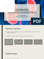 Síndrome Nefrítico/Nefrótico: Interna de Medicina Silvia Kelly Orihuela Flores