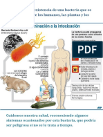 Sabemos de La Existencia de Una Bacteria Que Es Muy Común Entre Los Humanos