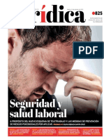 Seguridad y Salud Laboral