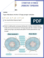 Struktur & Fungsi Jaringan Tumbuhan