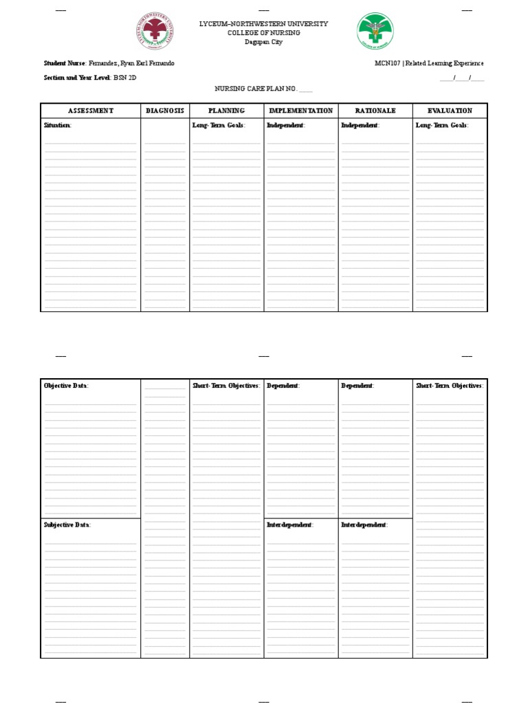 Nursing Care Plan Template | PDF | Nursing | Public Services