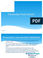 Perawatan Post Partum