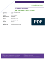 Product Datasheet: NPY2-R Polyclonal Antibody (Orb310794)