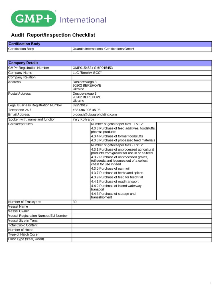 Audit Report (EN) Berehiv - 2021 | PDF | Audit | Verification And ...