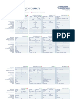 Digital Video Formats (8.5x11)