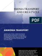 Ammonia Transport and Urea Cycle