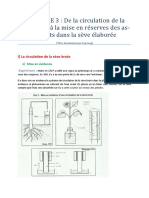 Word 3-De La Circulation de La Sève Brute À La Mis en Réserves Des Assimilas Photosynthétique Présents Dans La Sève Élaborée