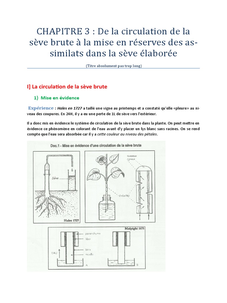 Circulation de la sève brute et élaborée PDF Vacuole Tige (Plante) — free download