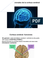 Aspectos Funcionales de La Corteza Cerebral