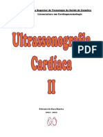 Sebenta de Ultrassonografia Cardíaca II
