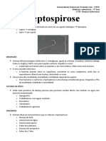 Leptospirose: Universidade Federal Da Fronteira Sul - UFFS Medicina Veterinária - 5° Fase CCR: Doenças Infecciosas