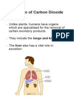 Organs Involved in Human Excretion