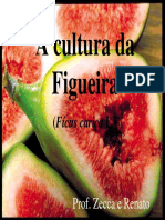 A Cultura Da Figueira