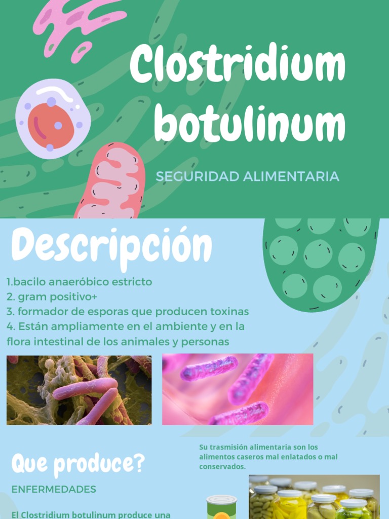 Clostridium Botulinum: Seguridad Alimentaria | PDF