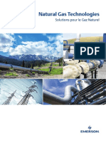 Europe Natural Gas Catalogue FR 135224